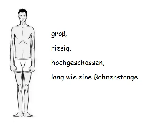Описание внешности человека на немецком языке - 2